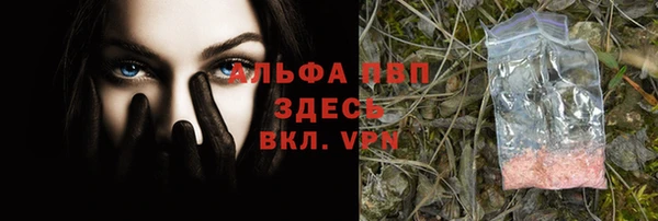 прущий лед Аркадак