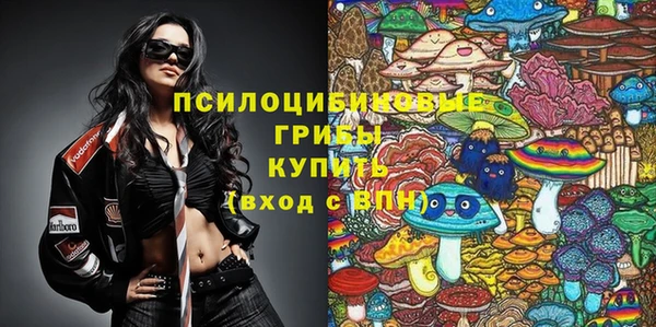 прущий лед Аркадак